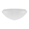Ampelglas (f300/Vit)