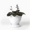 Kruka Sturehof - Adelcrantz, 11 cm vit