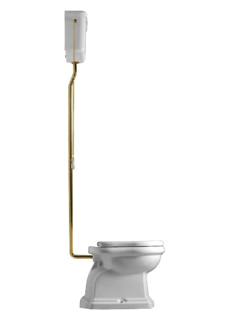 WC - Camden högspolande toalett brons, väggcistern & sits